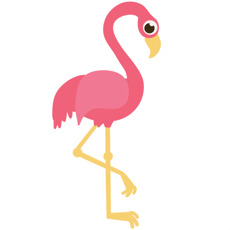 Flamingo Images Image Png Clipart