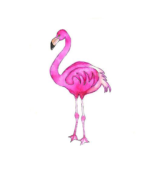 Watercolor Pink Flamingo Illustration Nursery By Digital Clipart