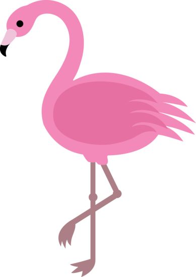 Flamingo Images Hd Photo Clipart