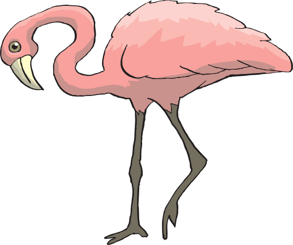 Flamingo Images Transparent Image Clipart