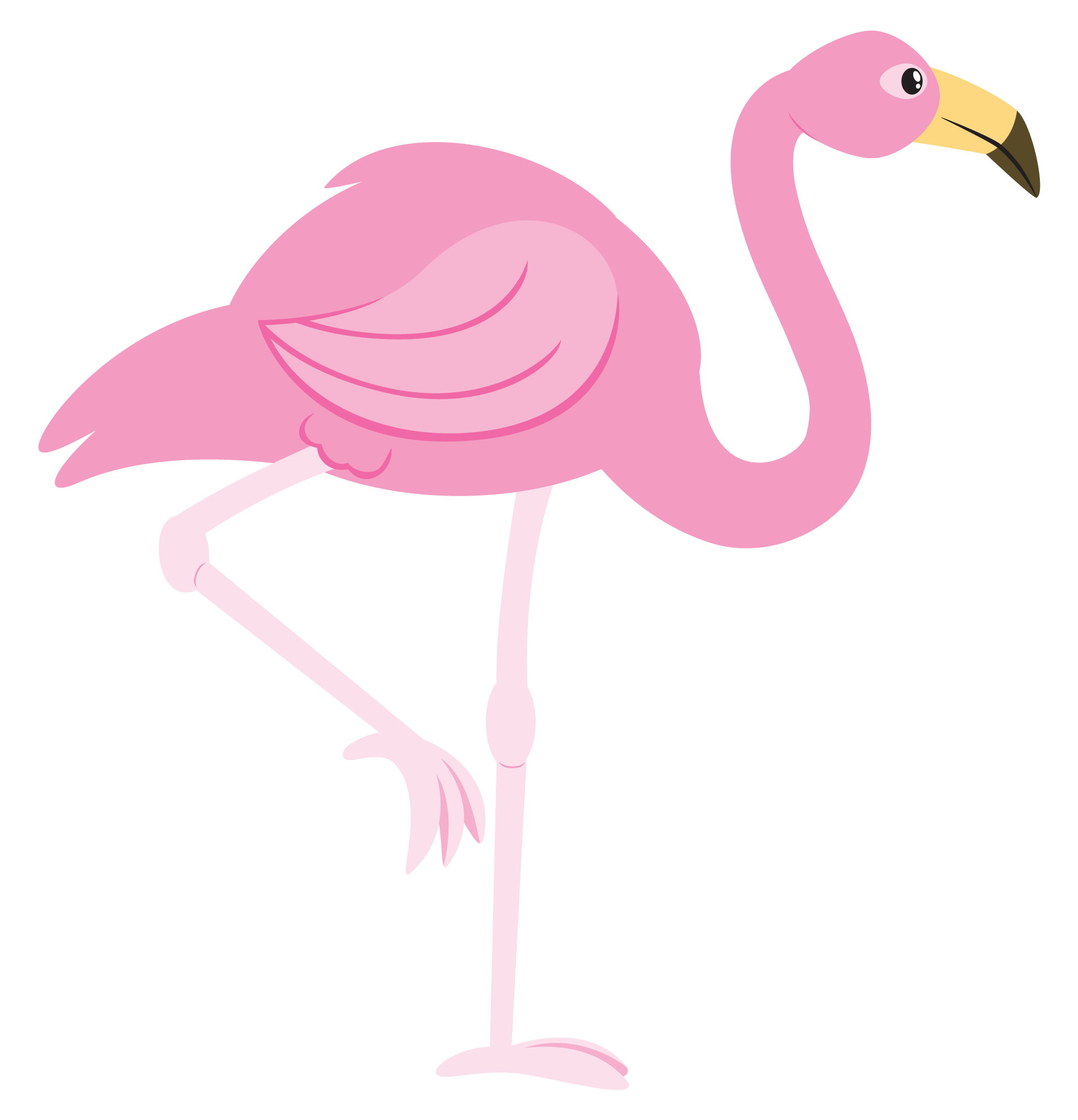 Flamingo To Use Hd Photo Clipart