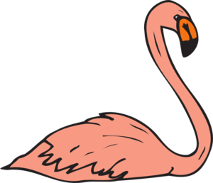 Swimming Flamingo High Quality Free Download Png Clipart