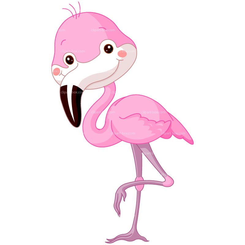 Flamingo Hd Photos Clipart