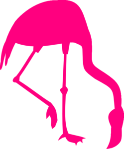Flamingo Black And White Images Png Image Clipart