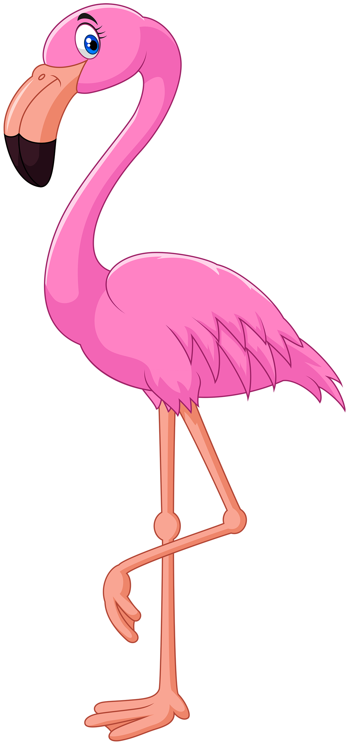 Pink Flamingo Web Free Download Clipart