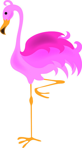 Flamingo Images Free Download Clipart