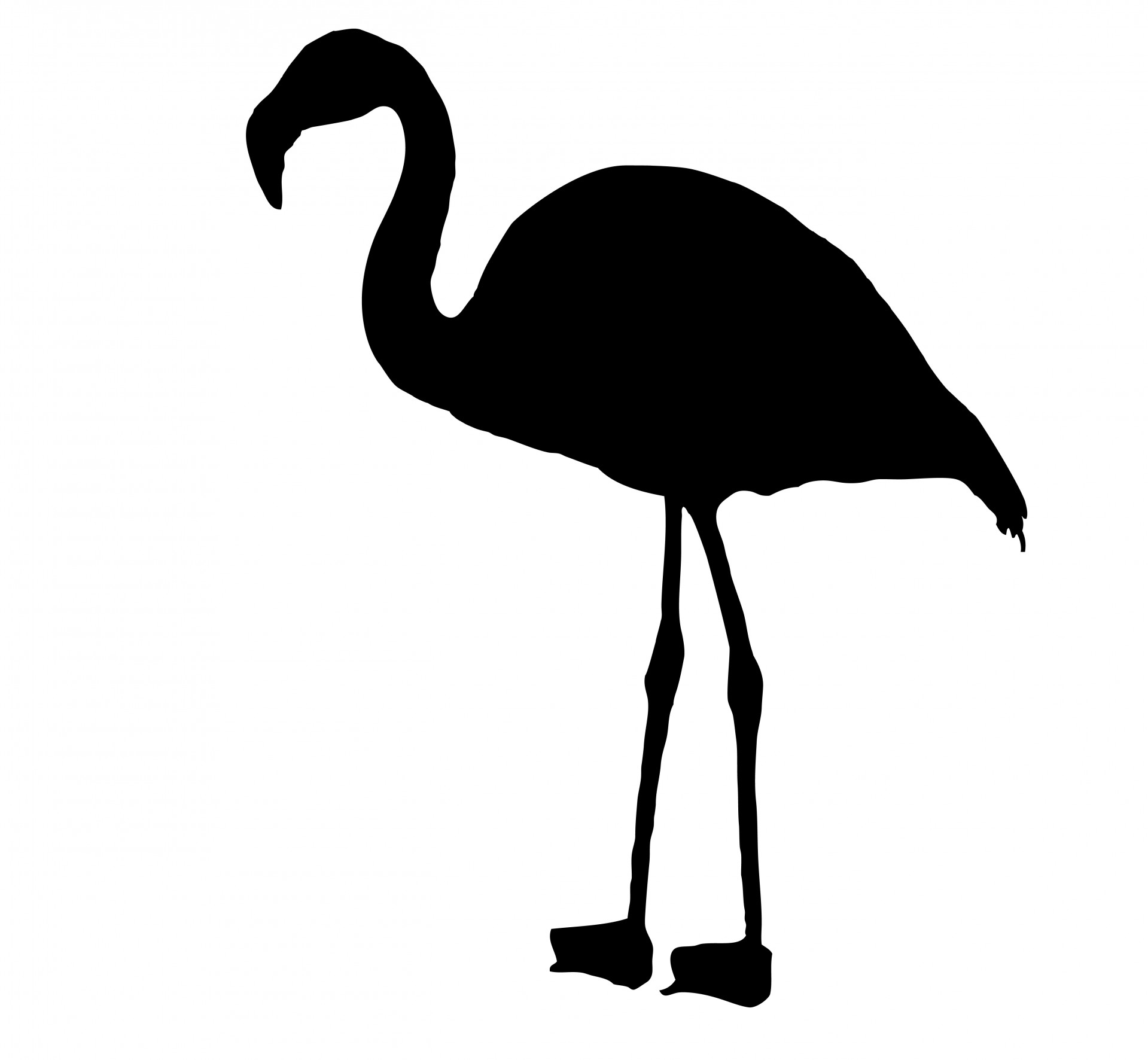 Flamingo Bird Silhouette Stock Photo Public Domain Clipart