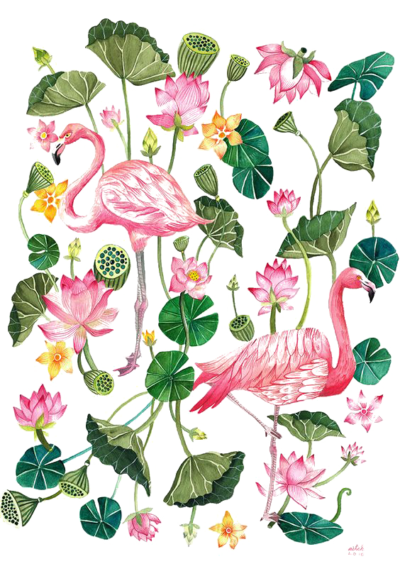 T-Shirt Printing Flamingo Cartoon Illustration Download Free Image Clipart