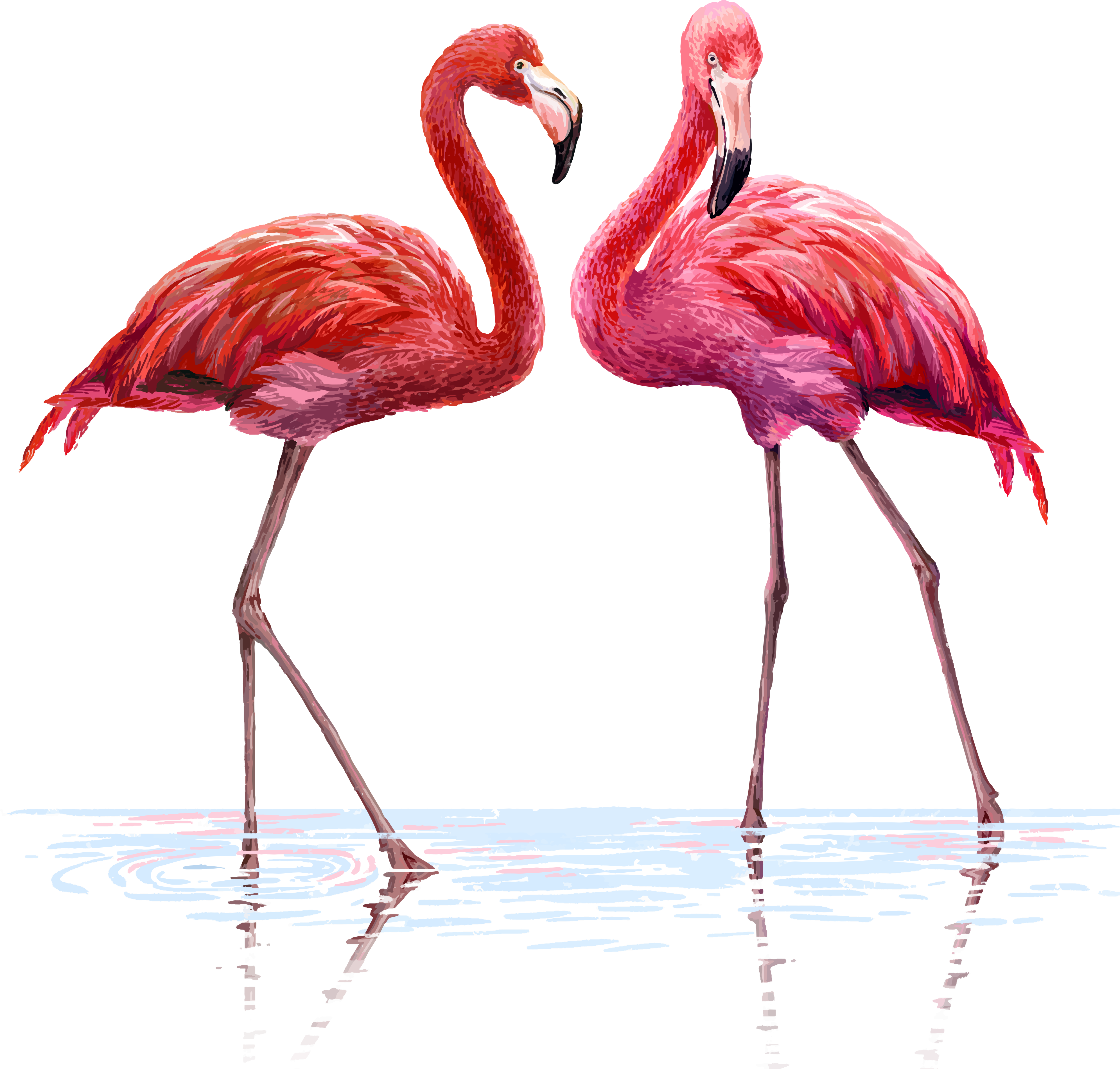 Flamingo Wall Of One Services Decal Design Clipart