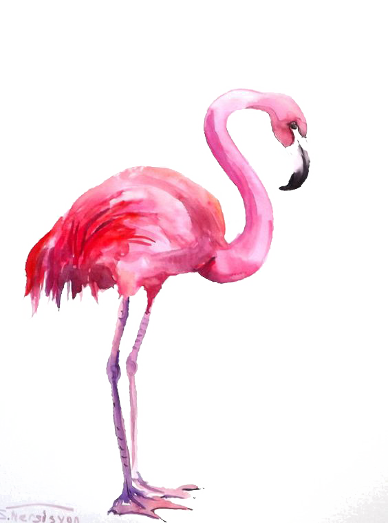 Watercolor Flamingos Flamingo Painting Download HQ PNG Clipart