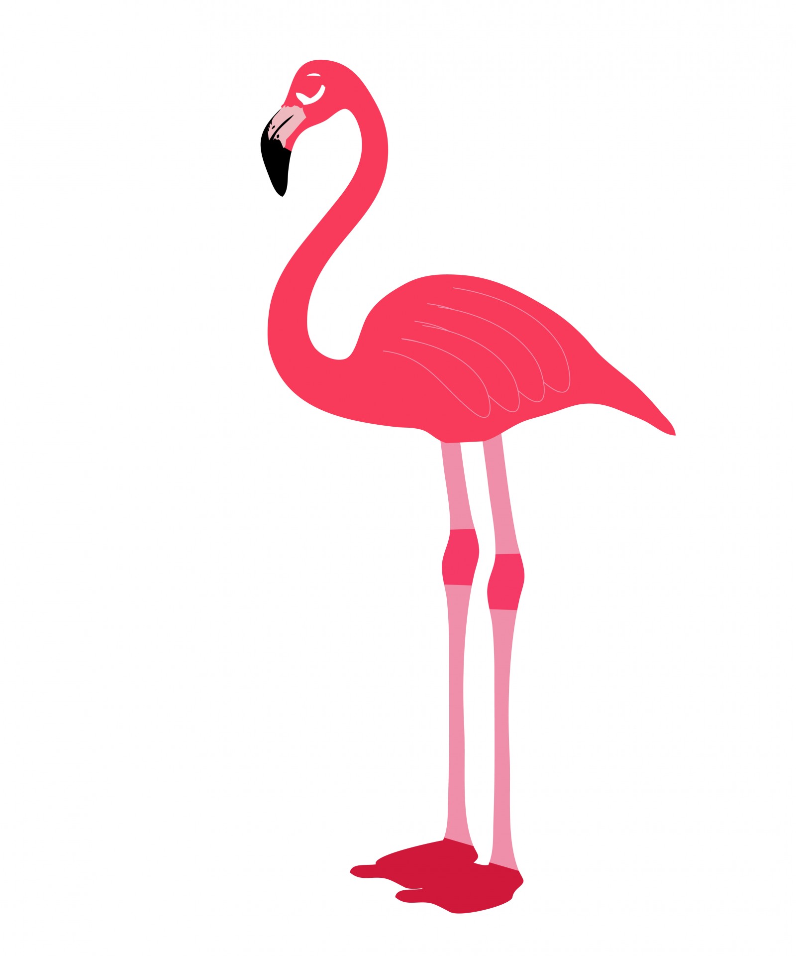 Pink Flamingo Bird Stock Photo Public Domain Clipart