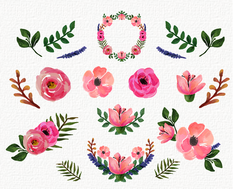 Freebies Watercolor Floral Collection Roses And Clipart