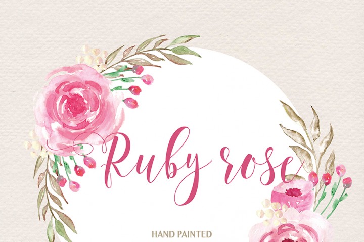 Watercolor Ruby Rose Watercolor Flower Pink Floral Clipart
