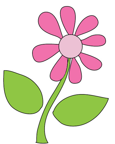 Flower Image Gallery Useful Floral Hd Photos Clipart