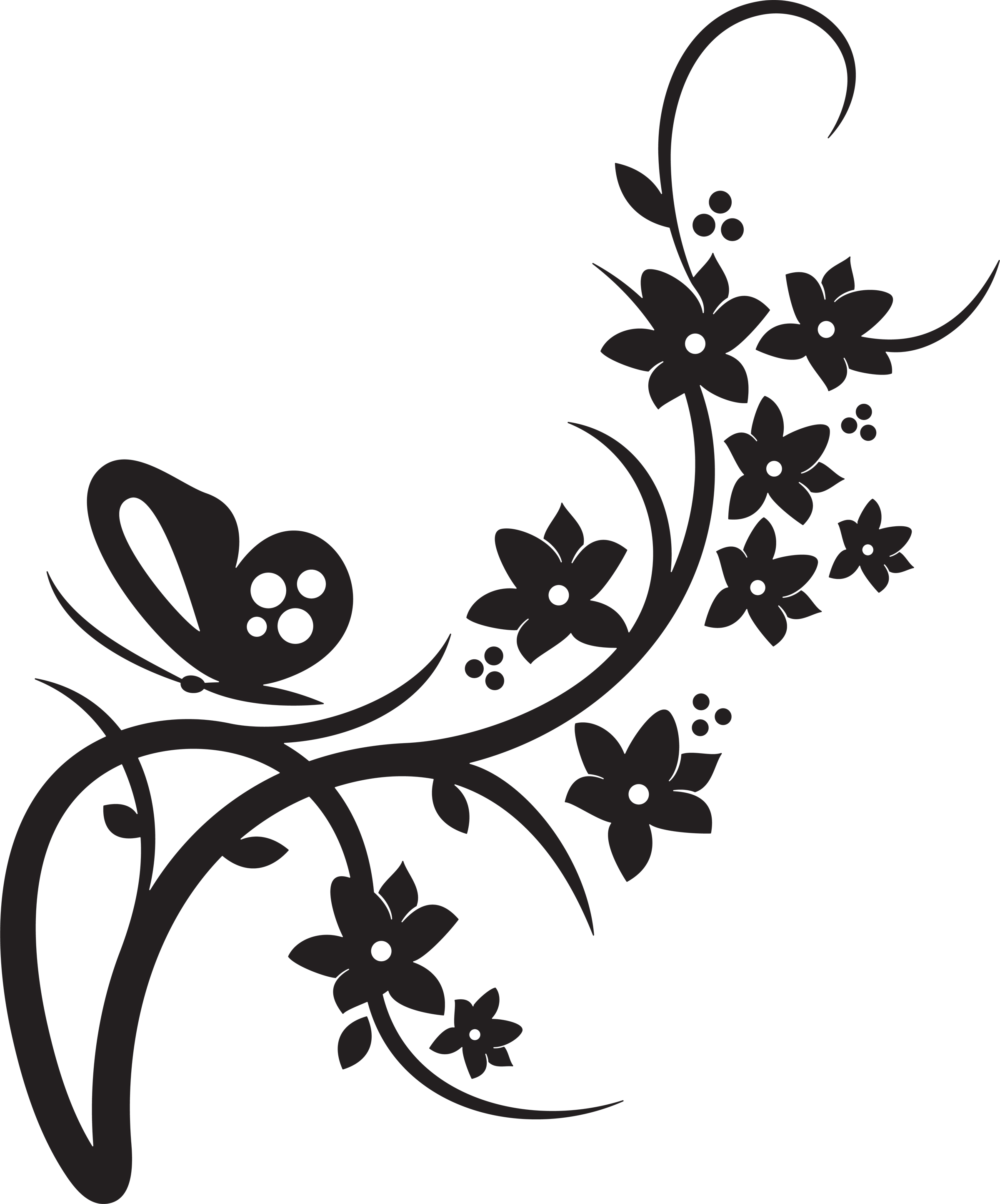 Floral Flowers And Butterflies Border Hd Photo Clipart