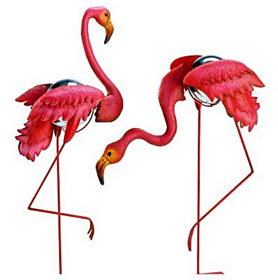 Florida Flamingo Hd Image Clipart