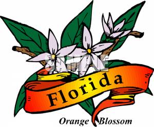 Florida Images Hd Image Clipart