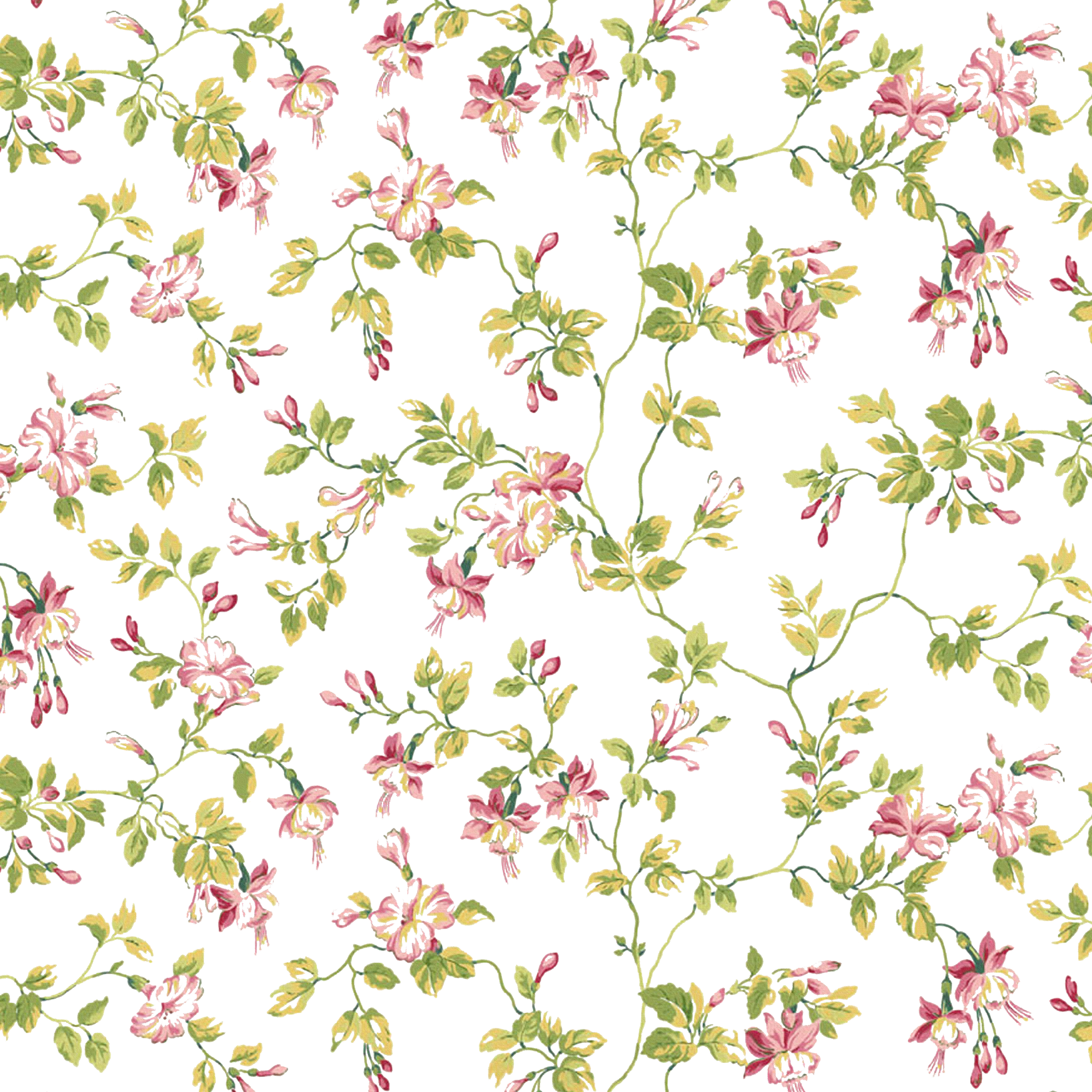 Flower High-Resolution Images Floral Shading Resolution Clipart