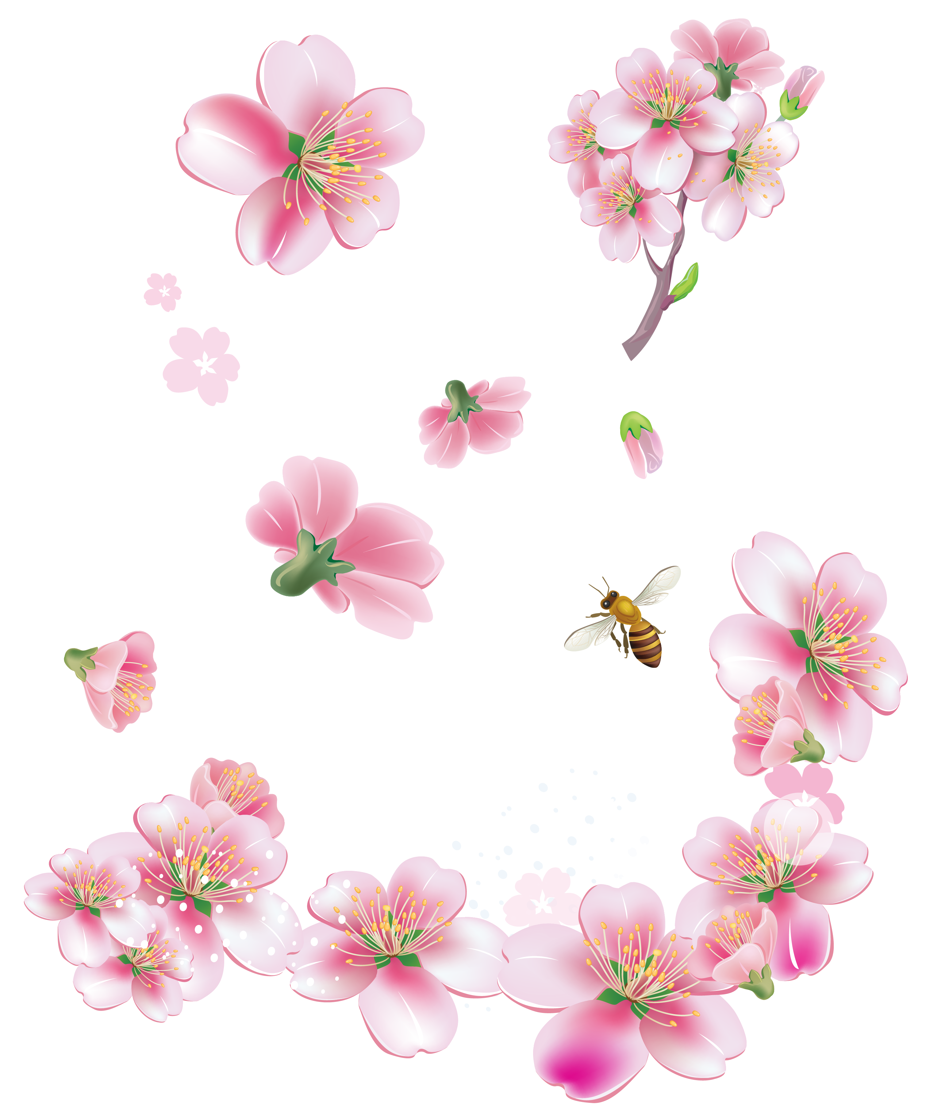 Pink Spring Flowers Trees Free Clipart HD Clipart