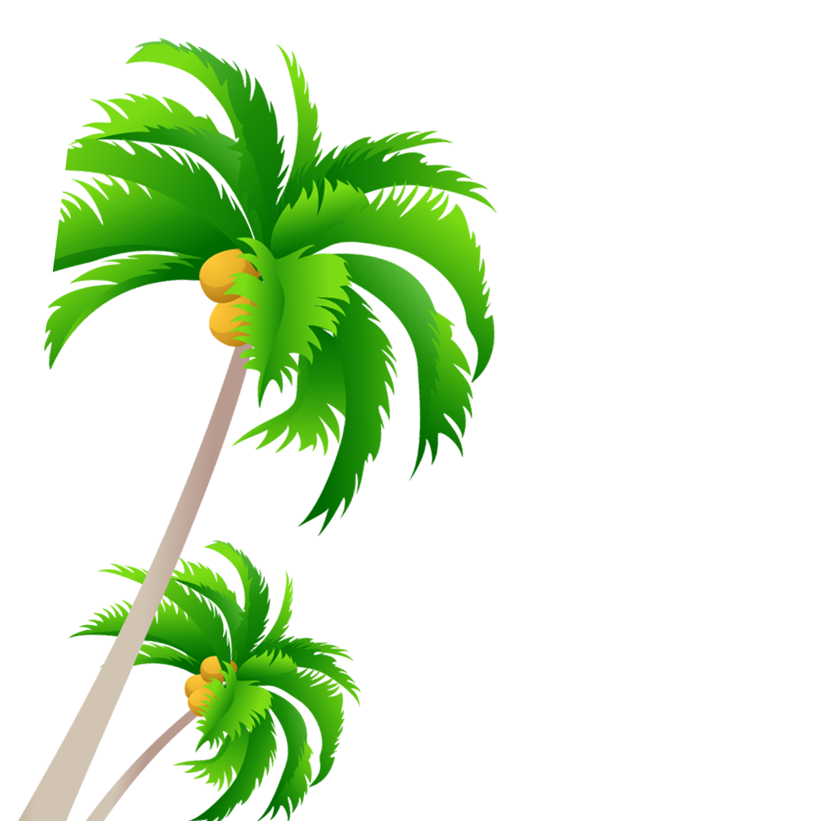 Coconut Tree Download Free Image Clipart