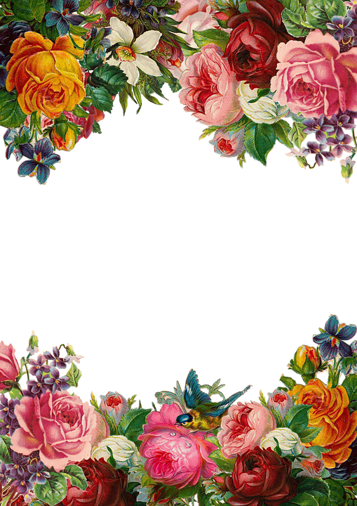 Beautiful Flowers Flower Border Pixabay PNG Free Photo Clipart