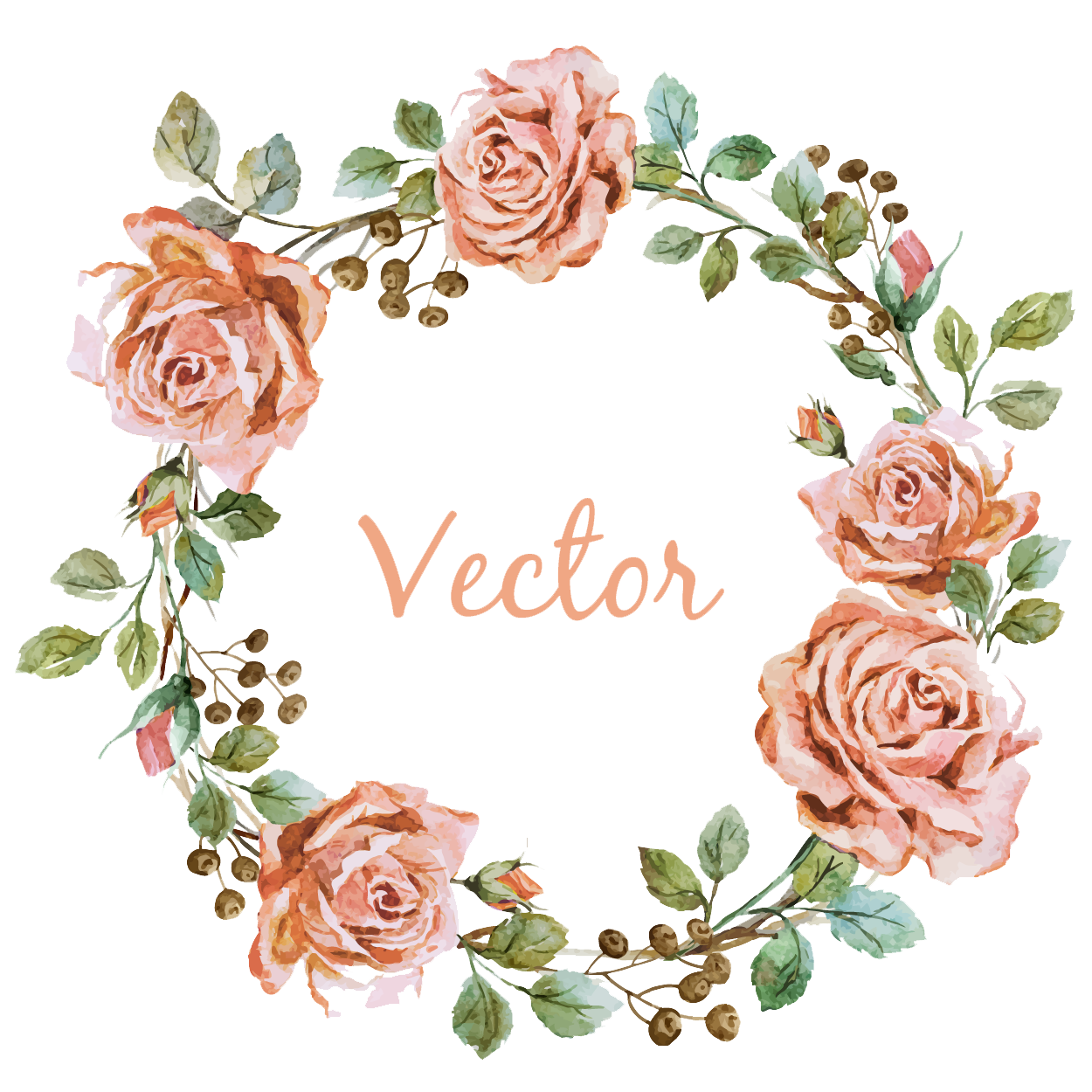 Pink Videography Photographer Photography Flower Wedding Borders Clipart