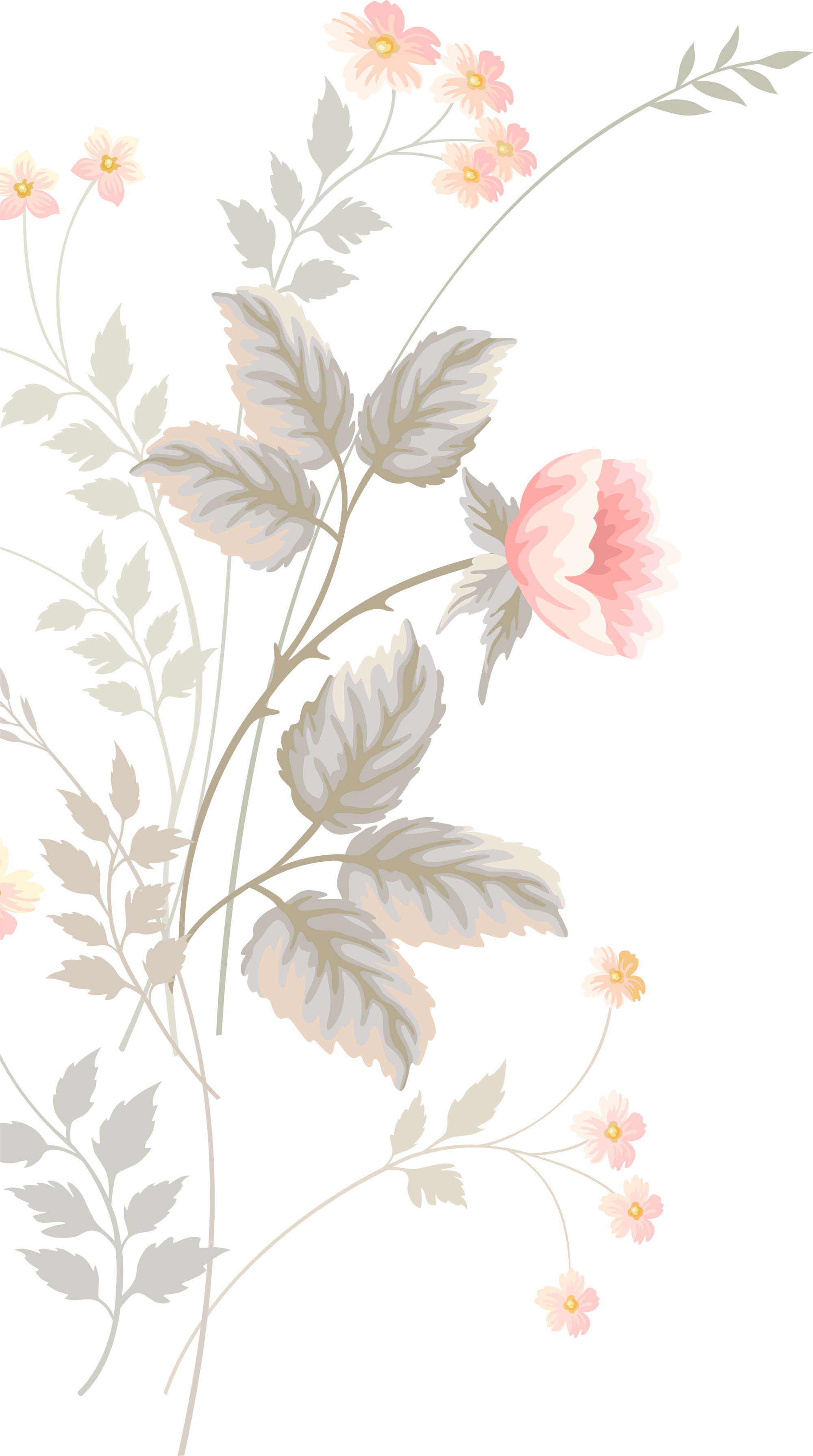 Pink Flower Pattern Watercolor Design Floral Flowers Clipart
