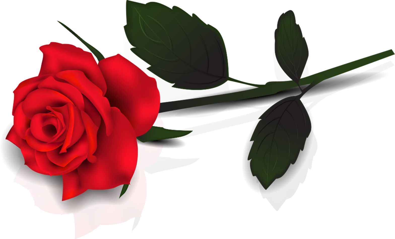 Flower Gift Valentine'S Rose Roses Day Clipart