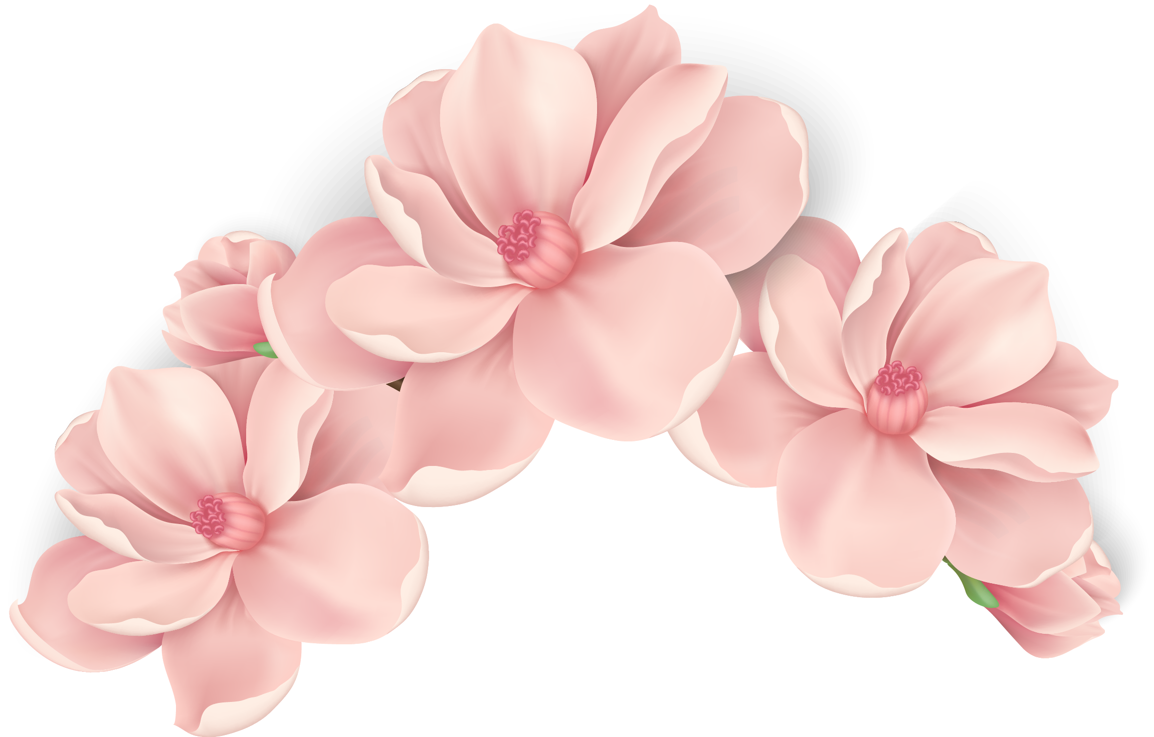 Pink Painted Flowers Vector Hand PNG Free Photo Clipart