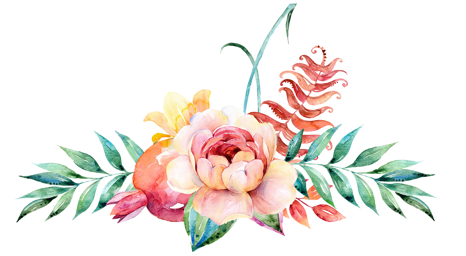 Decoration Flower Illustration Watercolor Design Floral Painting Clipart