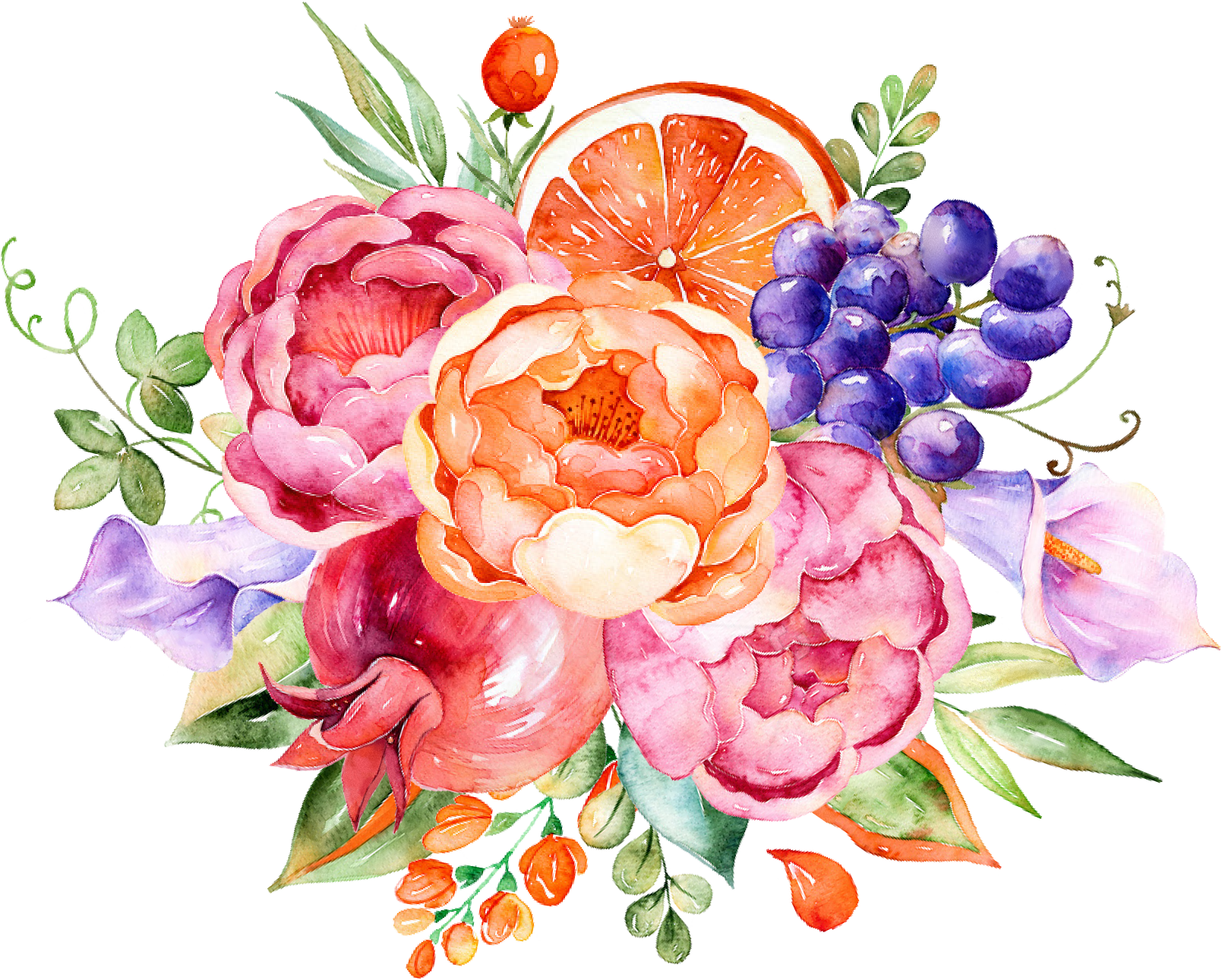 Decoration Flower Watercolor Fruit Floral Painting Clipart
