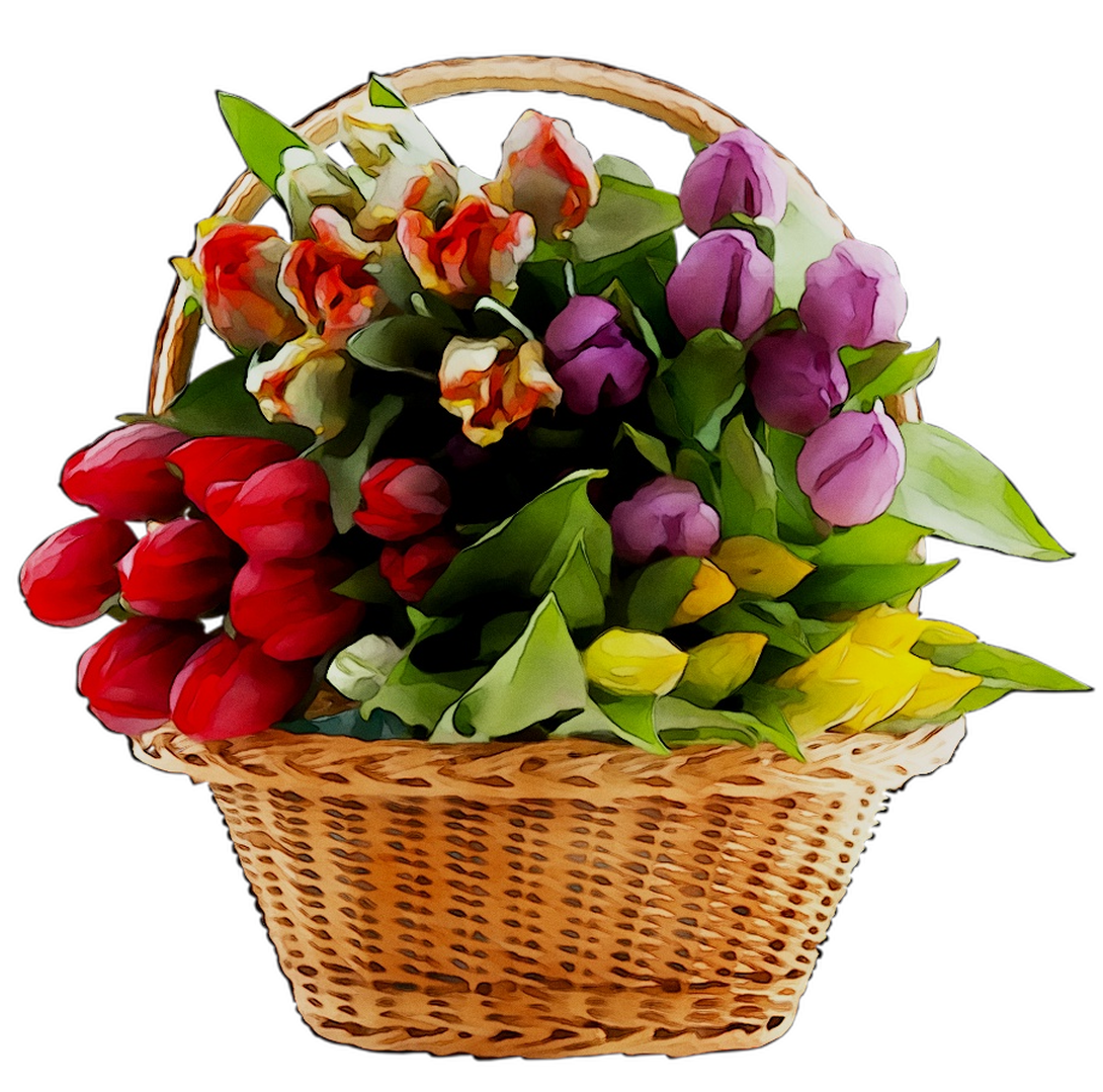 Flower Gift Tulip Bouquet Baskets Food Design Clipart