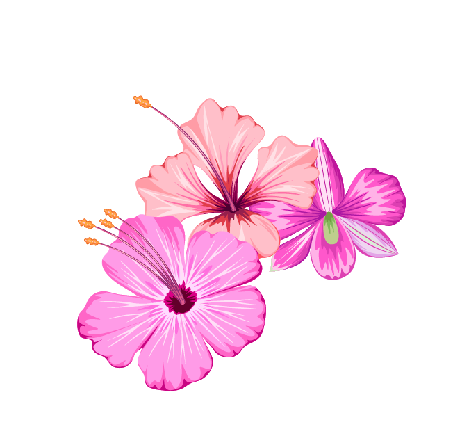 Small Fresh Flowers Flower Summer Free Transparent Image HD Clipart