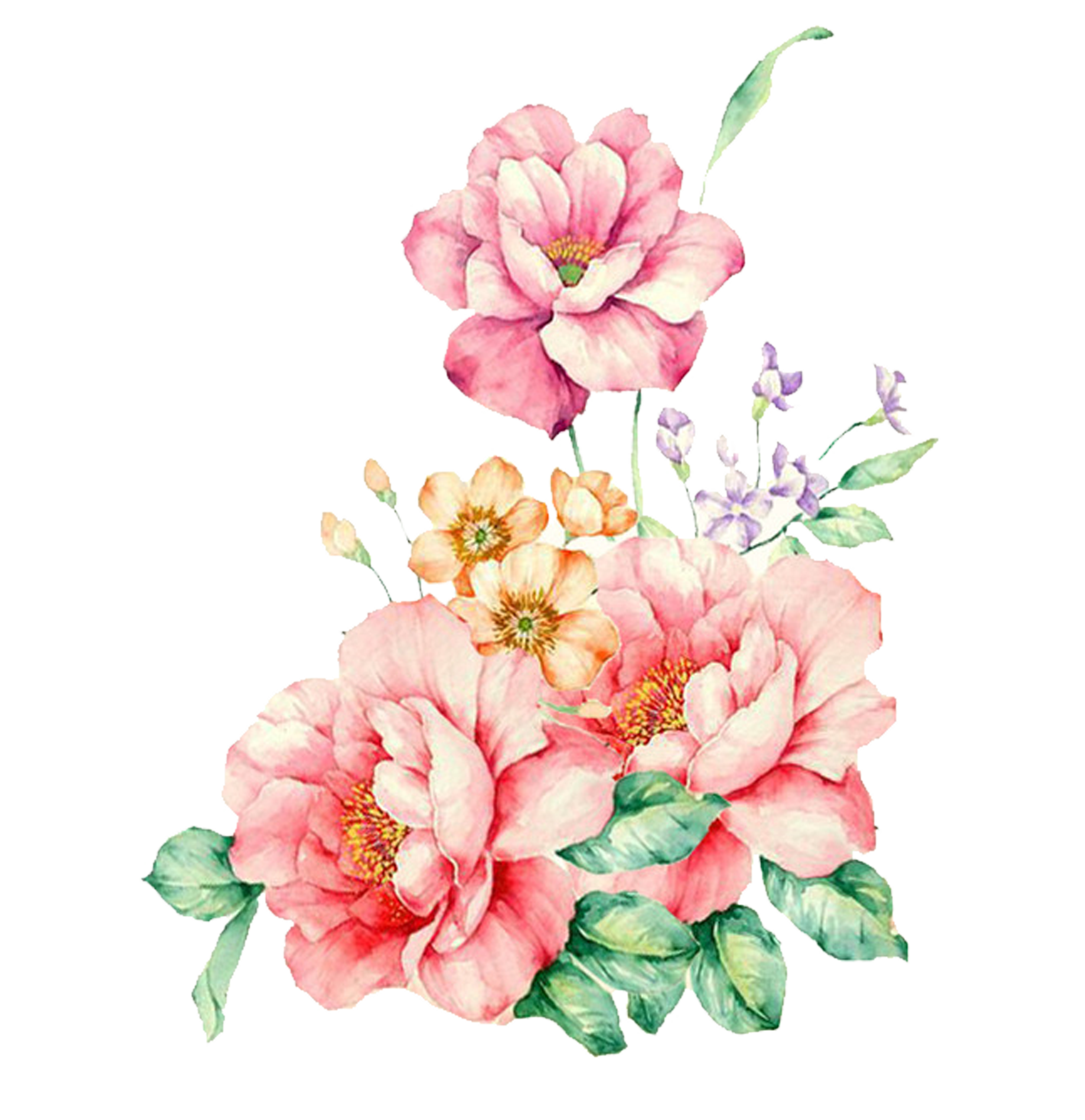 Pink Decorative Flower Watercolor Flowers Painting Hand-Painted Clipart