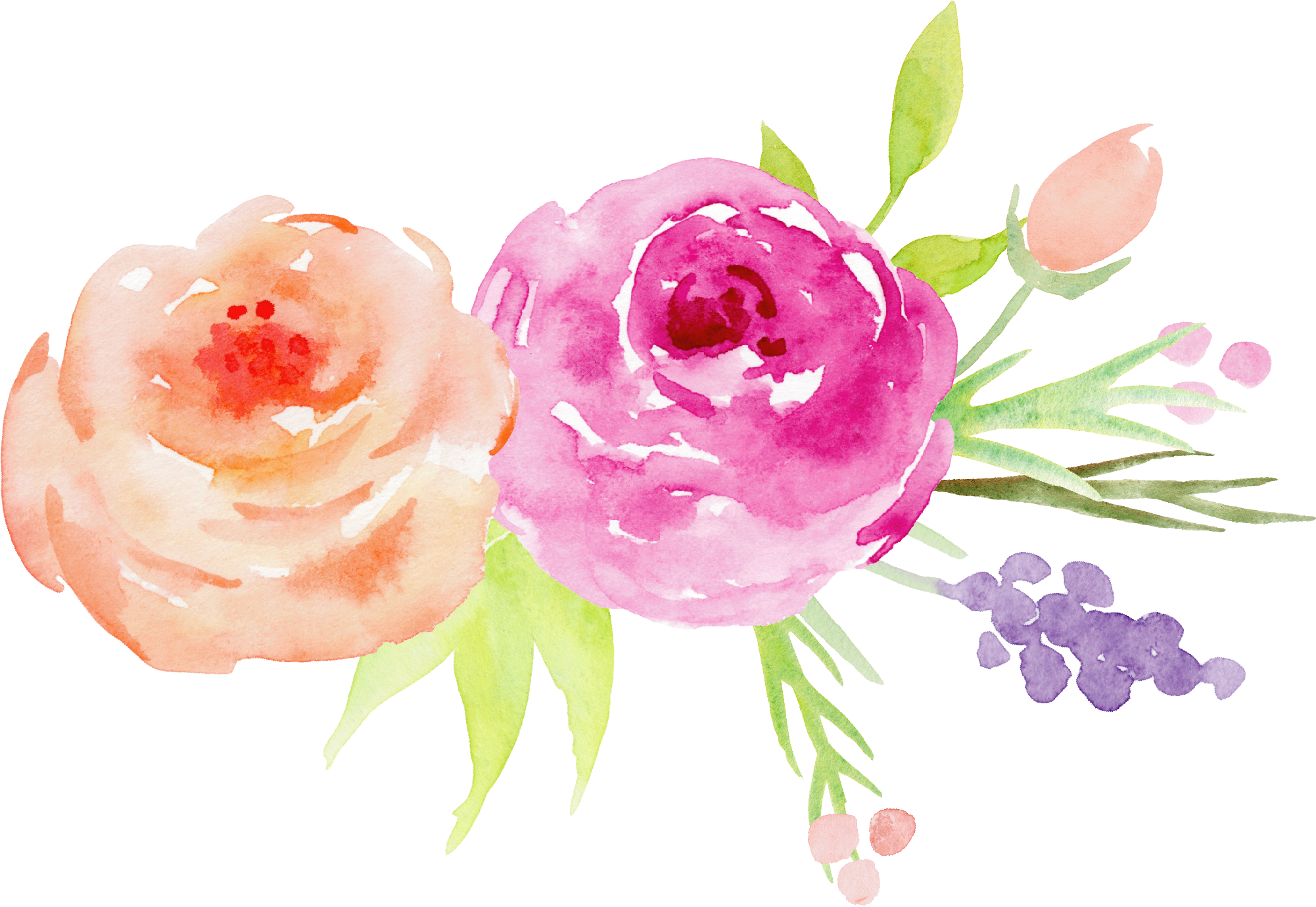 Decorative Flower Garden Watercolor Roses Elements Painting Clipart