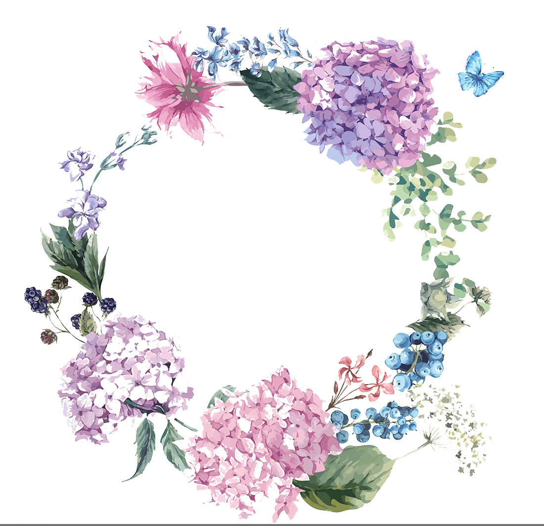Flower Hydrangea Wedding Illustration Watercolor Design Invitation Clipart