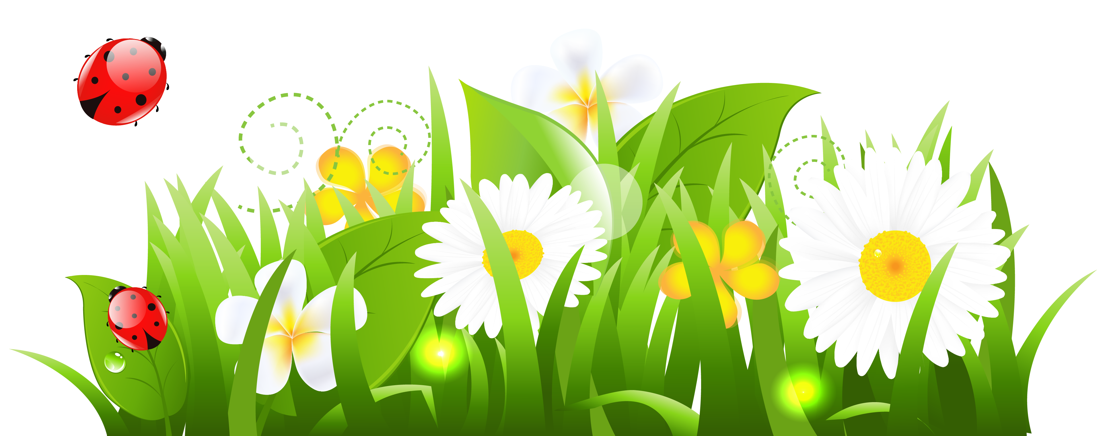 Grass And Flowers Transparent Image Clipart