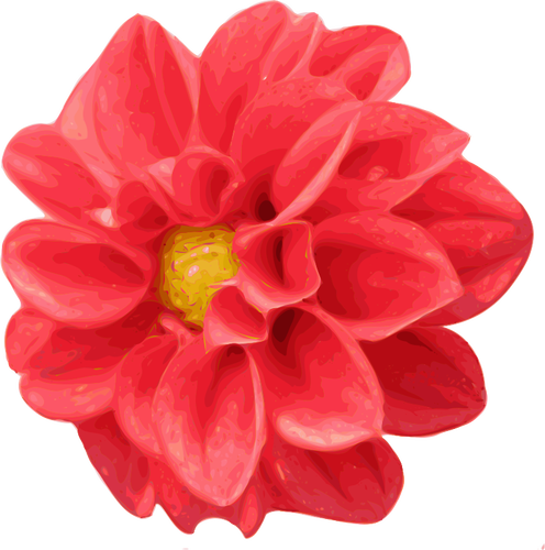 Dahlia Flower Clipart