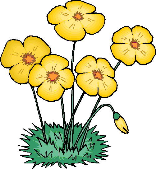 Flowers Flower And Graphics Hd Photos Clipart