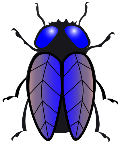 Housefly Image Clipart