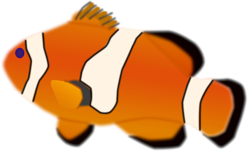 Amphiprion Percula Fish Clipart