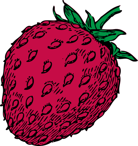 Of Red Strawberry Fruit Clipart