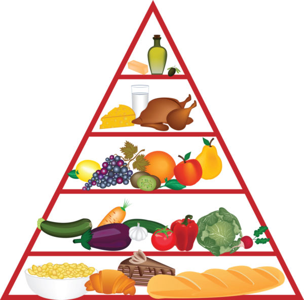 Food Pyramid Images Png Image Clipart