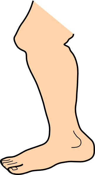 Foot Feet Image Image Png Clipart