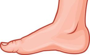 Foot Images Illustrations Photos Free Download Png Clipart