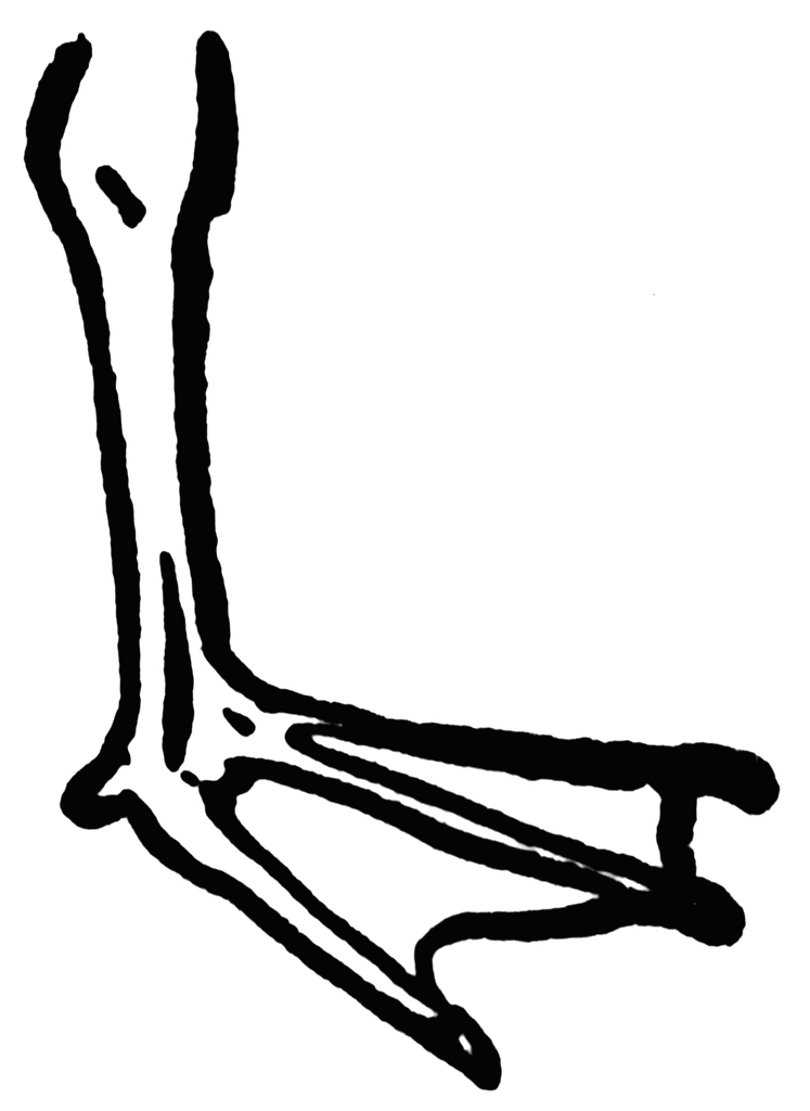 Foot Feet Download Png Clipart