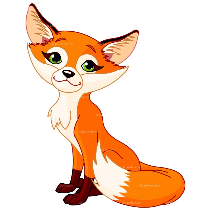Baby Fox Images Hd Photo Clipart