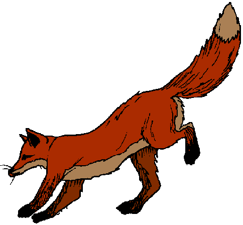 Fox Shooting Star Png Image Clipart