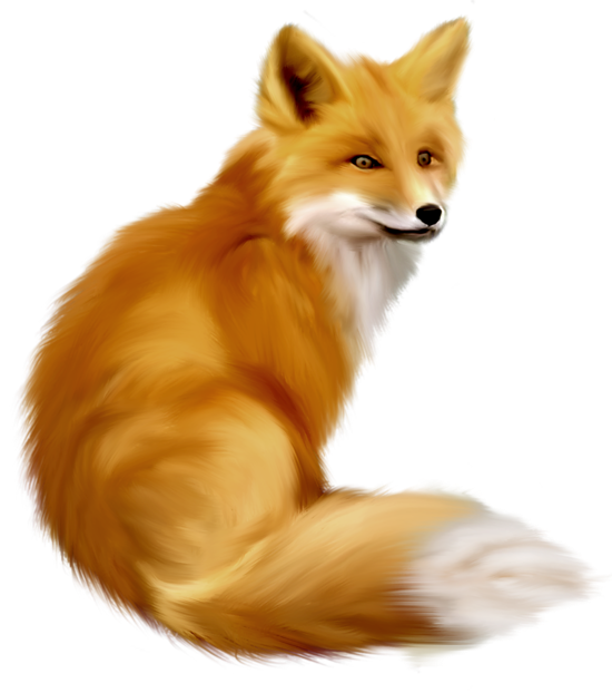 Fox Png Image Clipart