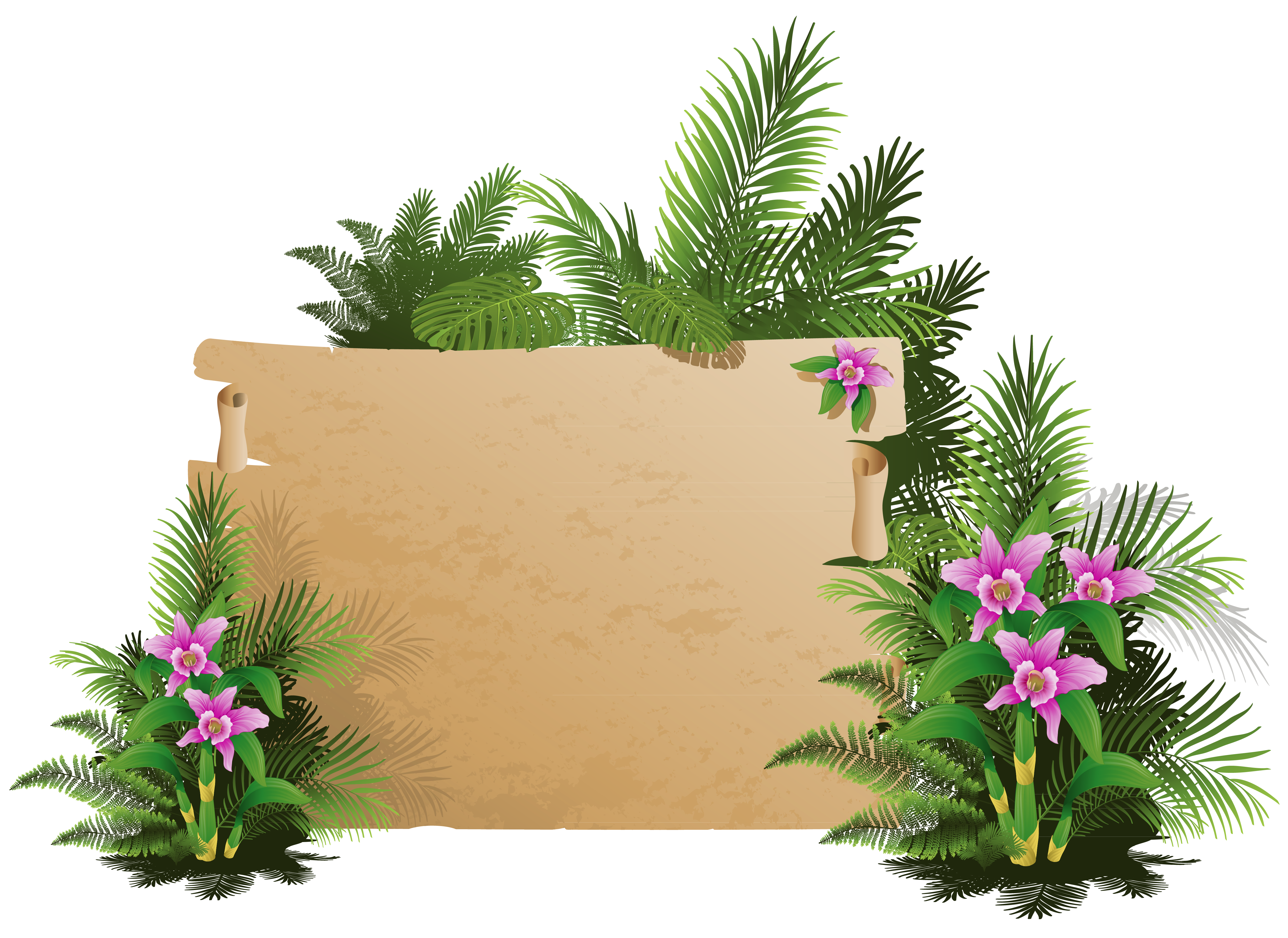 Exotic Summer Board Free Frame Clipart